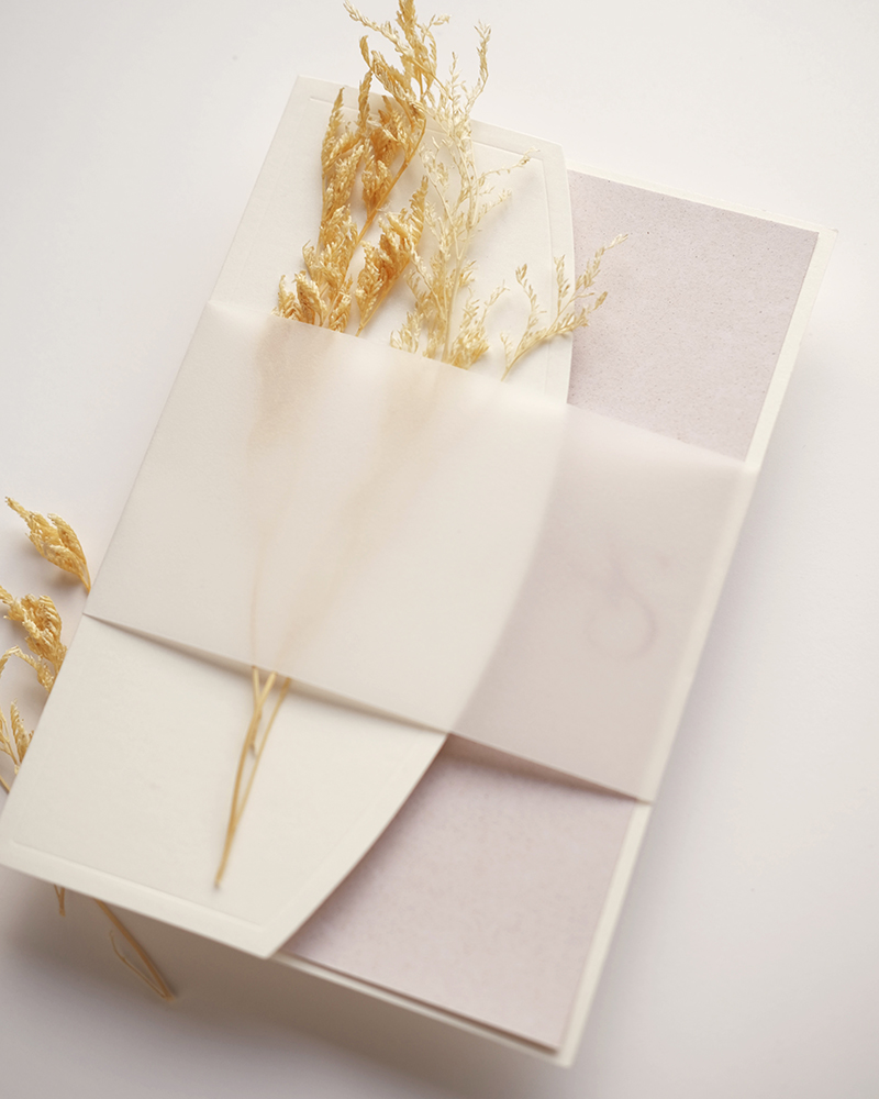 SEMIARC2 - partecipazione semi-arco